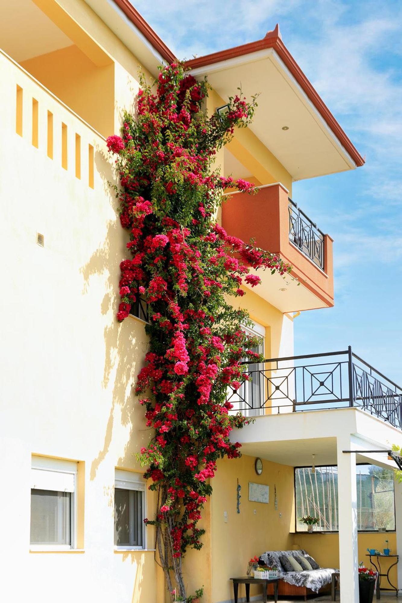 Ventus E Paradiso Villa Nikiti Halkidiki Exterior photo